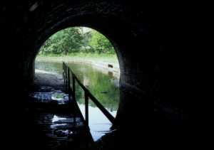 Scout Tunnel